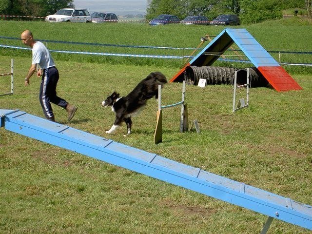 Concours Neuf Fontaines 2007 – photo 32