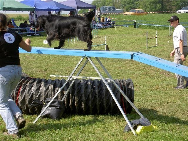Concours Neuf Fontaines 2007 – photo 34