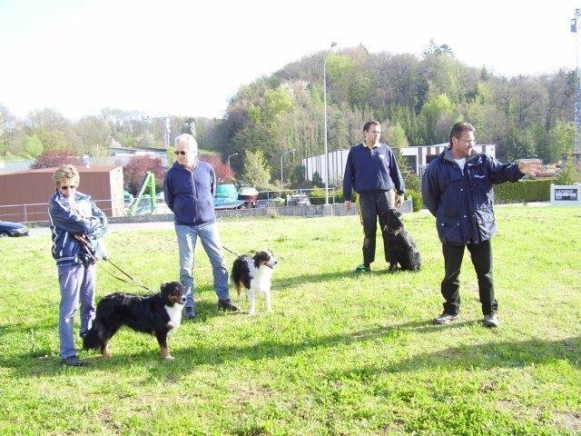 ADF 2008
