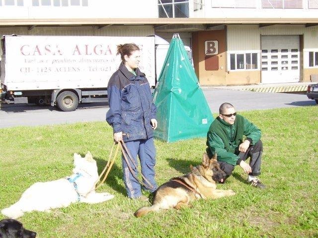 ADF 2008 – photo 3