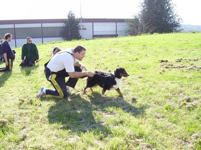 ADF 2008 – photo 5