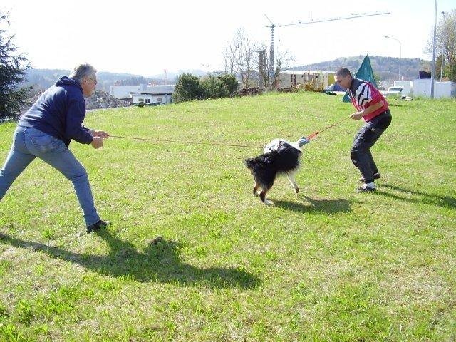 ADF 2008 – photo 7