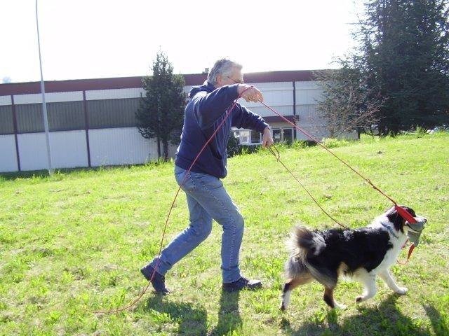 ADF 2008 – photo 8