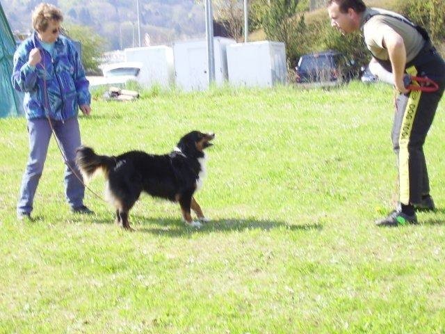 ADF 2008 – photo 11