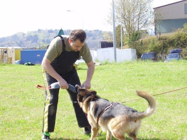 ADF 2008 – photo 12
