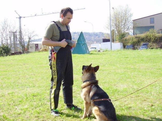 ADF 2008 – photo 13
