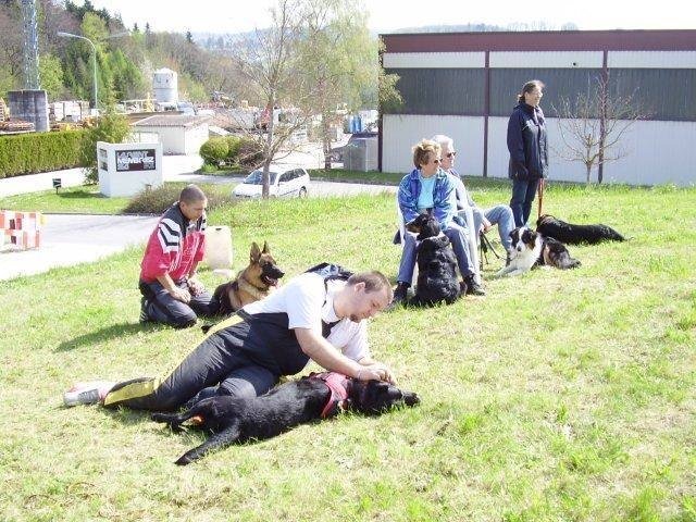 ADF 2008 – photo 14