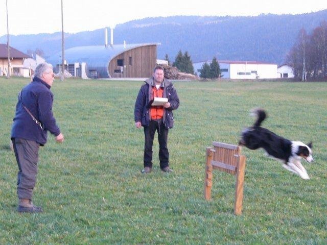 ADF 2008 – photo 19