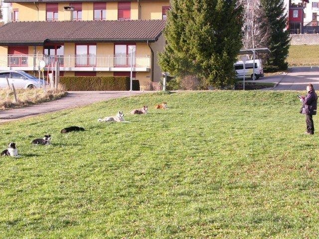 ADF 2008 – photo 20
