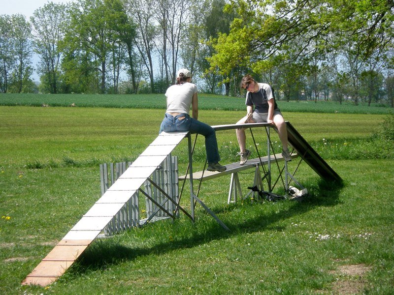Entretien terrain & cabane 2008 – photo 4