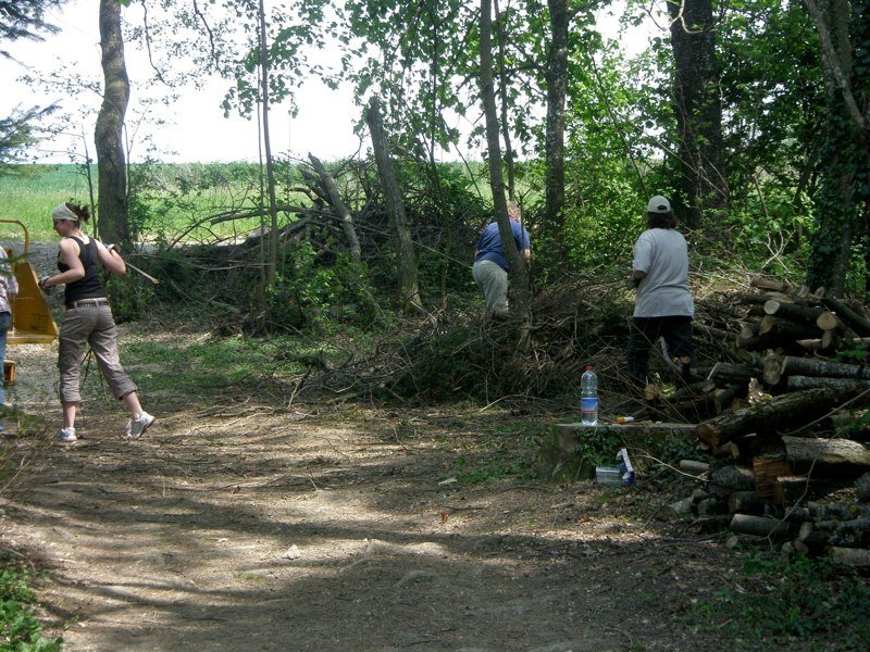 Entretien terrain & cabane 2008 – photo 7