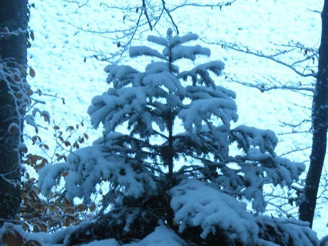 Noël 2007 – photo 10