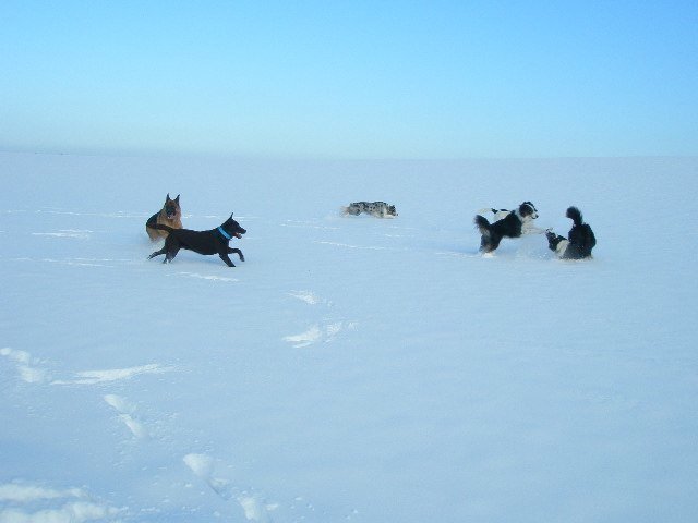 Noël 2008 – photo 2