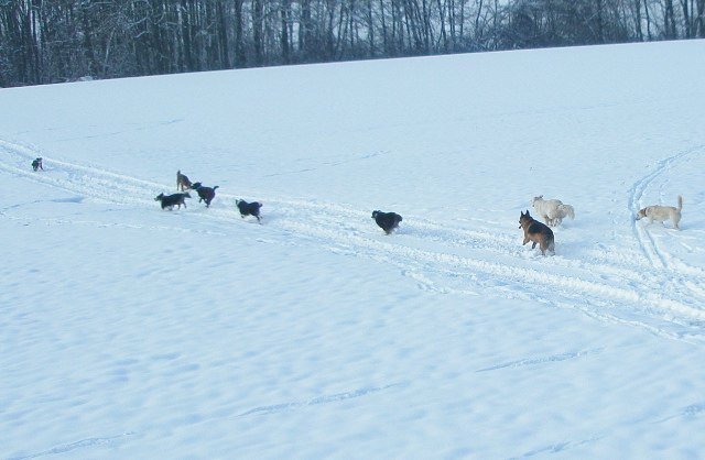 Noël 2008 – photo 3