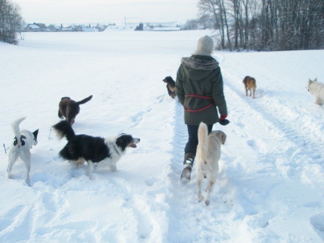 Noël 2008 – photo 4