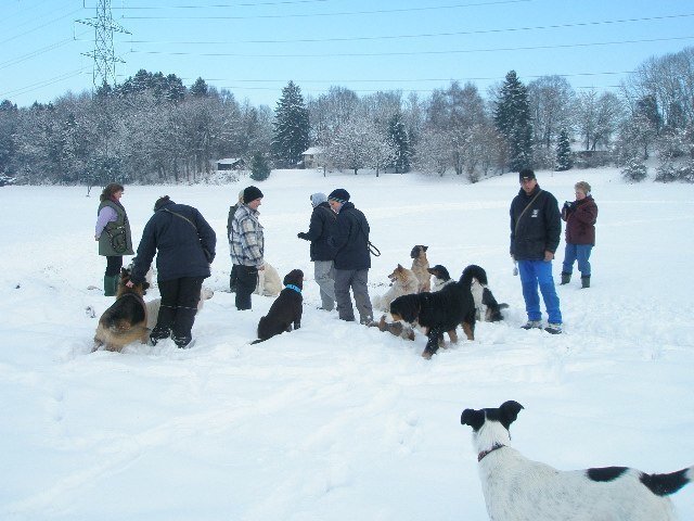 Noël 2008 – photo 5