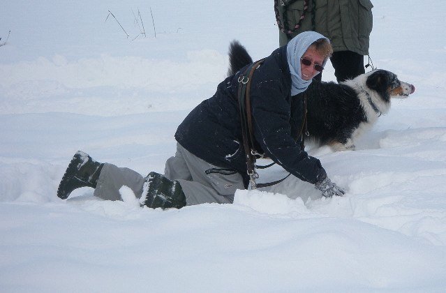 Noël 2008 – photo 7