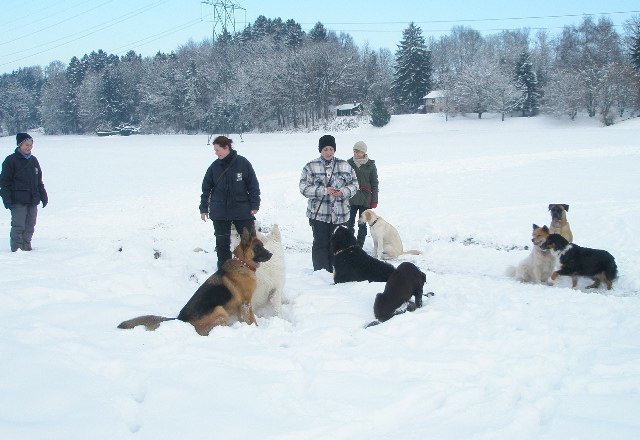 Noël 2008 – photo 8