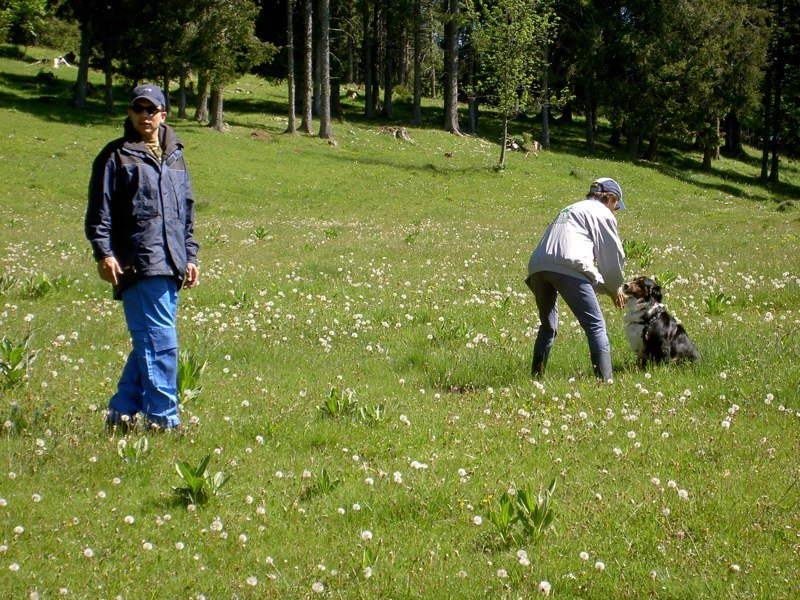 Séminaire 2007 – photo 34