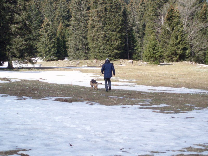 Séminaire 2008 – photo 40