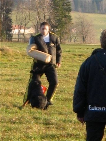 ADF 2009 – photo 15