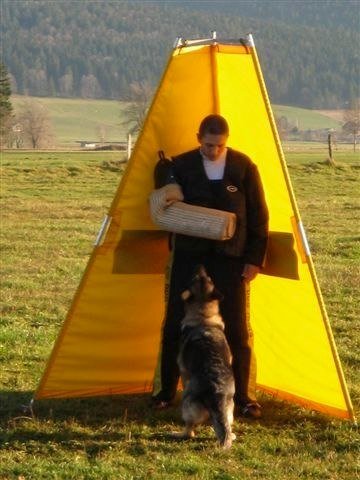 ADF 2009 – photo 19