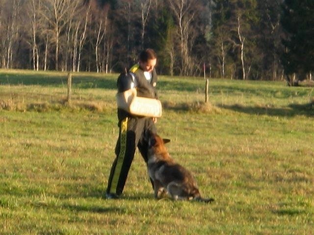 ADF 2009 – photo 25