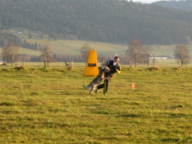 ADF 2009 – photo 26