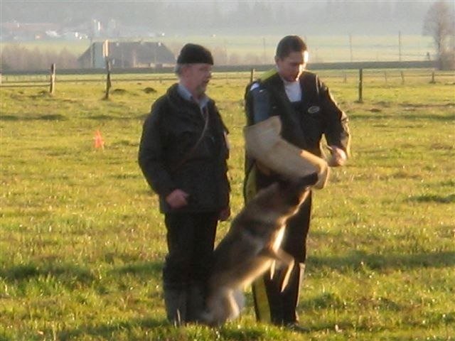 ADF 2009 – photo 28