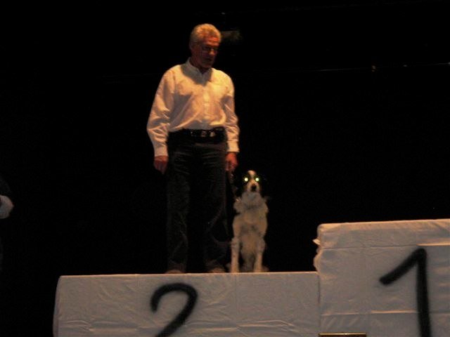 ADF 2009 – photo 40