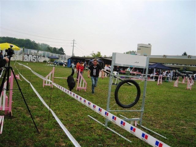 Agility 2009 – photo 3