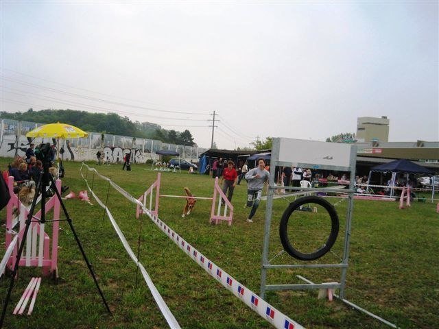 Agility 2009 – photo 4