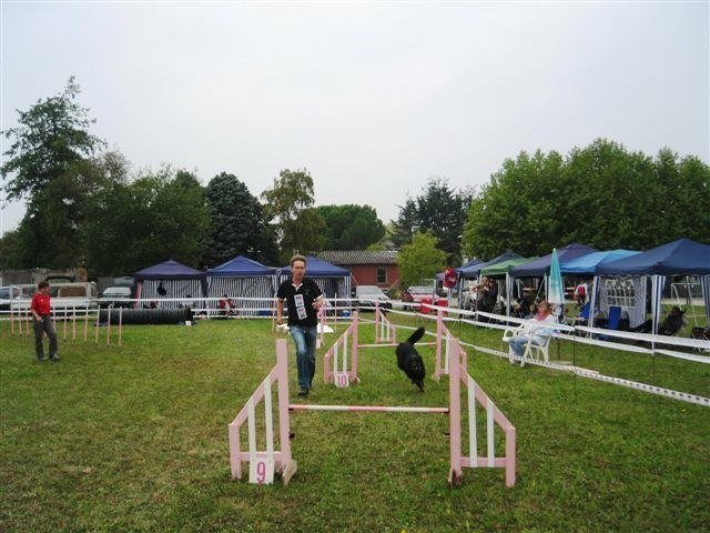 Agility 2009 – photo 5