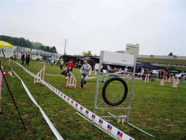 Agility 2009 – photo 6