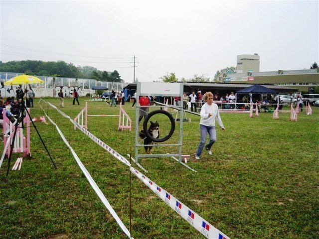 Agility 2009 – photo 8