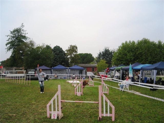 Agility 2009 – photo 9