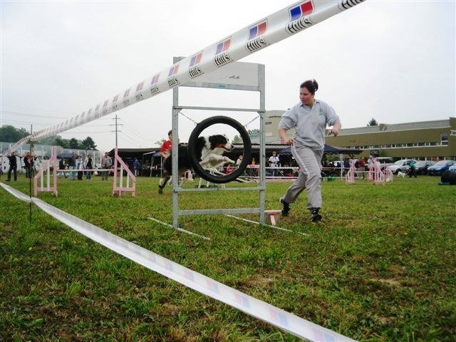 Agility 2009 – photo 11
