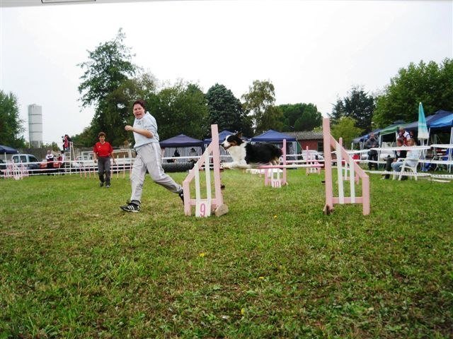 Agility 2009 – photo 12