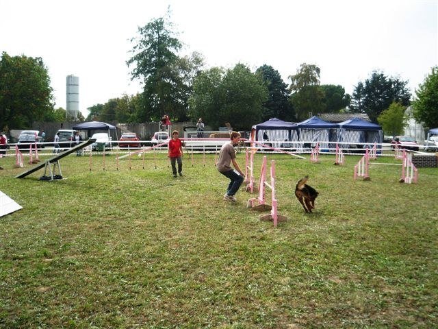 Agility 2009 – photo 13