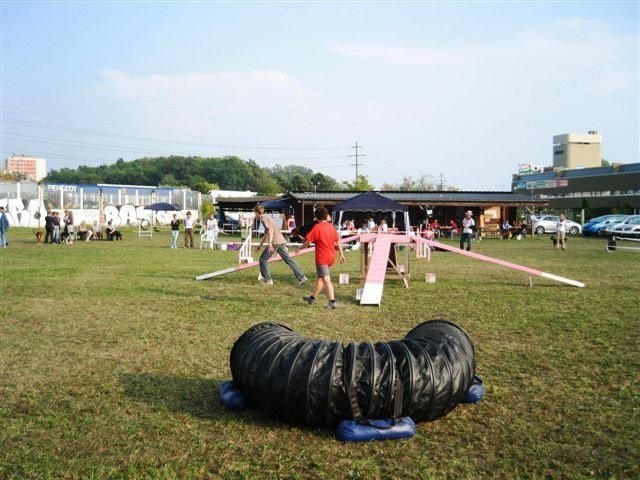 Agility 2009 – photo 14