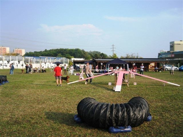 Agility 2009 – photo 15