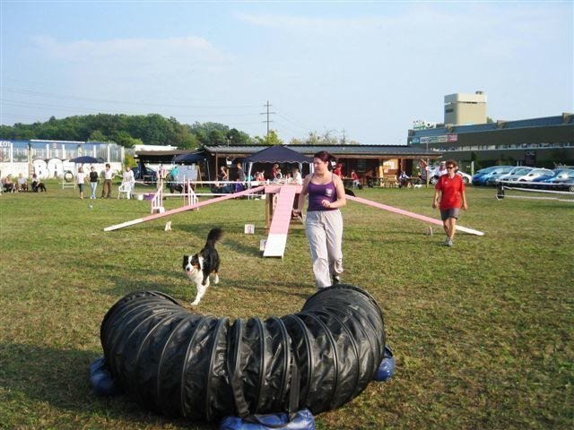 Agility 2009 – photo 17