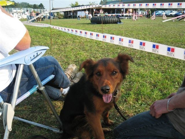 Agility 2009 – photo 20