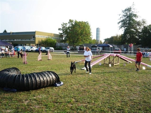 Agility 2009 – photo 23