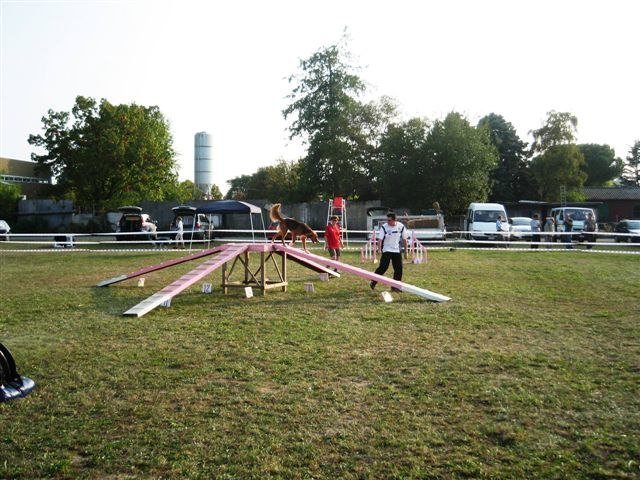 Agility 2009 – photo 24