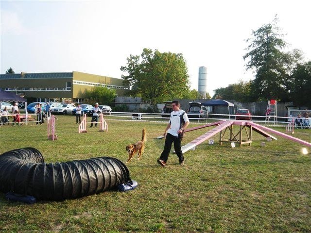 Agility 2009 – photo 25