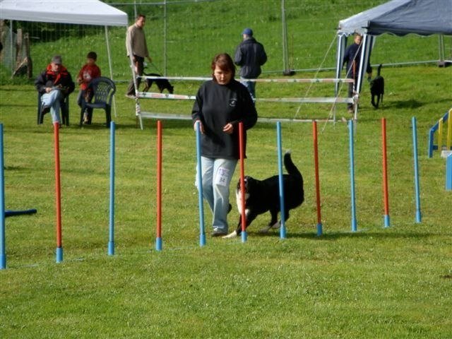 Agility 2009 – photo 35