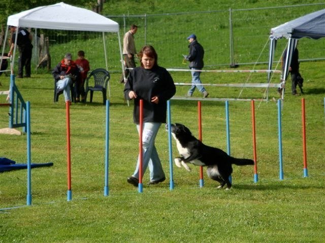 Agility 2009 – photo 36