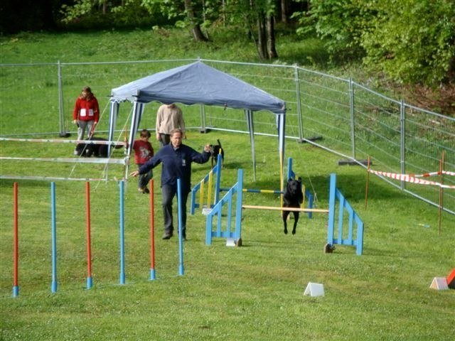 Agility 2009 – photo 37