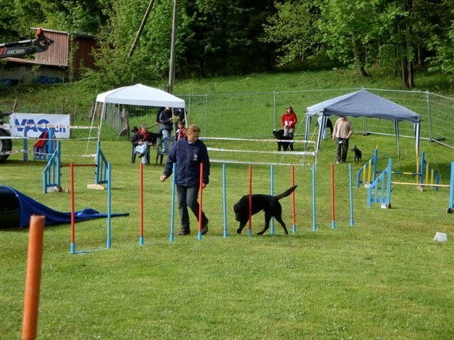 Agility 2009 – photo 38